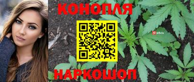 spice Дмитров